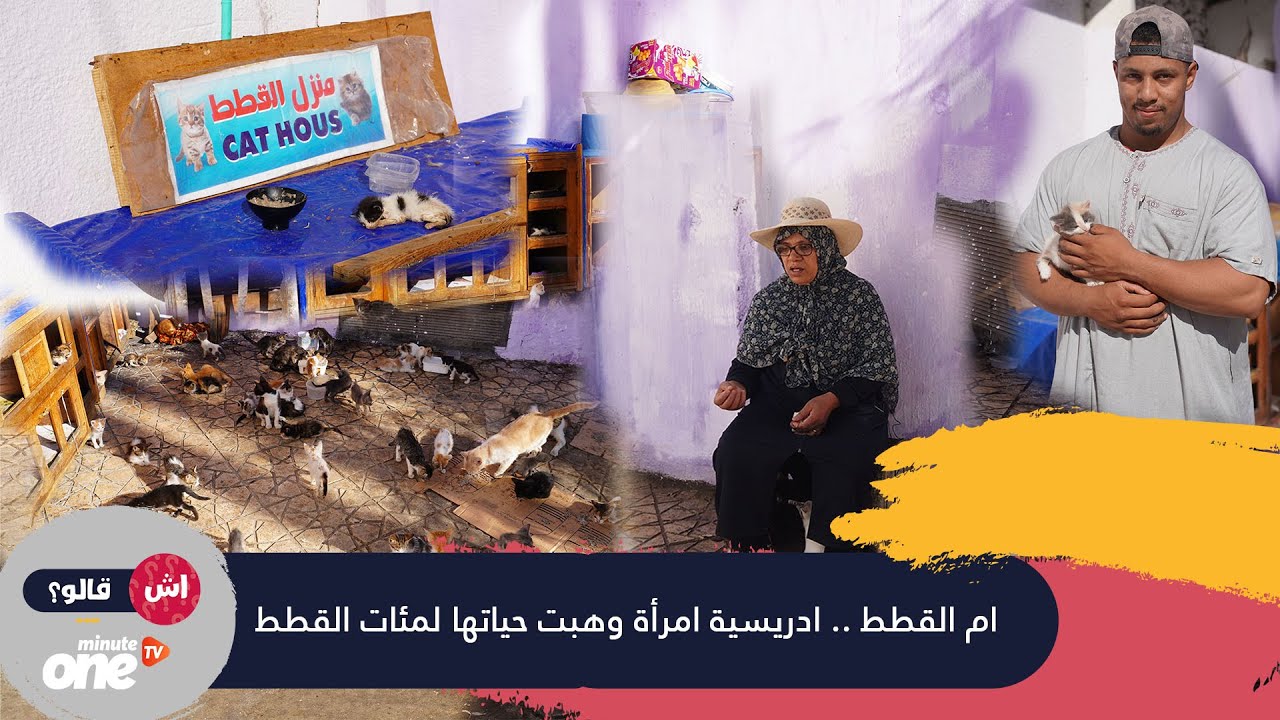ام القطط..ادريسية امرأة وهبت حياتها لمئات القطط