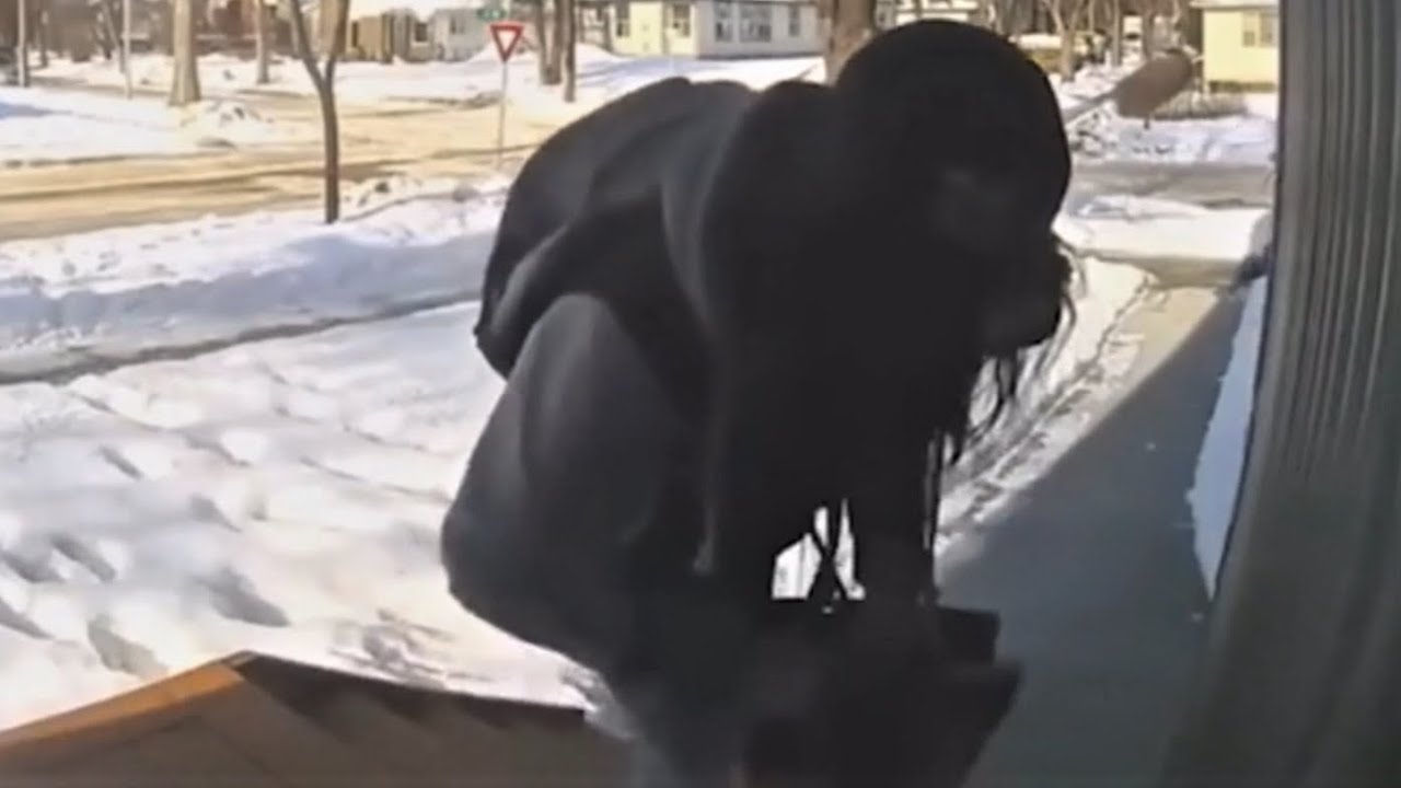 Robos Que Salieron MAL #27