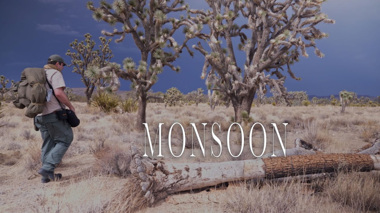 Solo Bushcraft Camping in Desert Monsoon - $100 Budget Kit