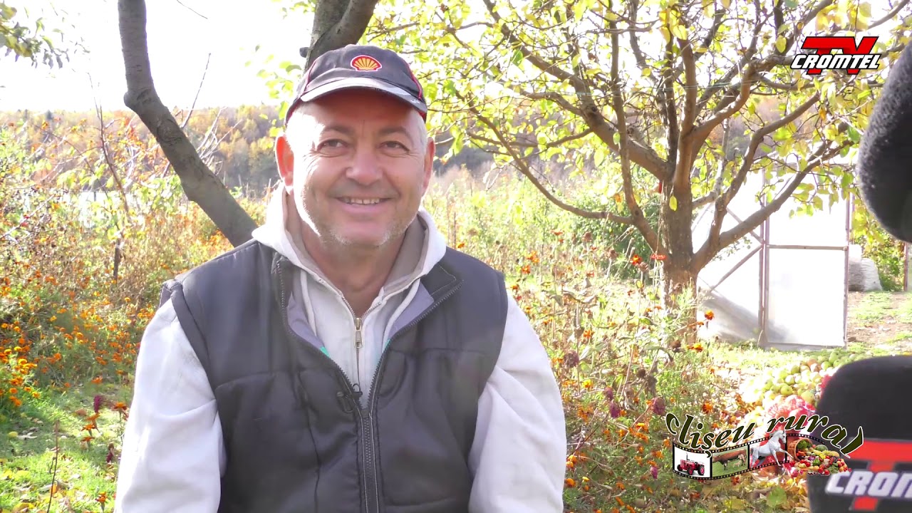 Cliseu rural   Livada de pomi Ionel Scheul   Horodnic de Sus