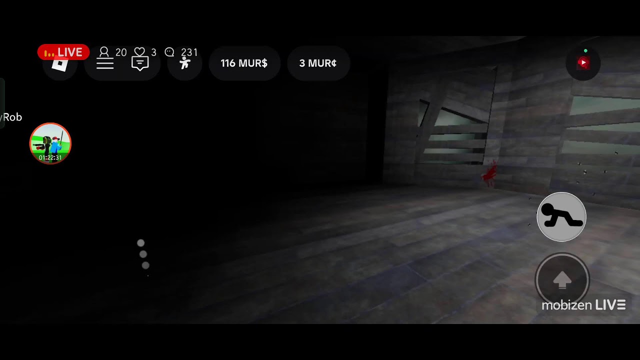 стрим по Roblox