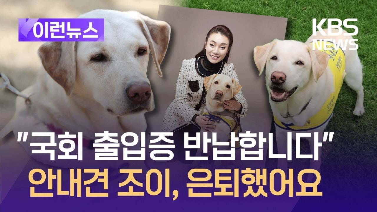 [이런뉴스] 김예지 의원 안내견 조이 “은퇴합니다”…국회 문턱 낮춰줘 고마워! / KBS 2025.02.18.