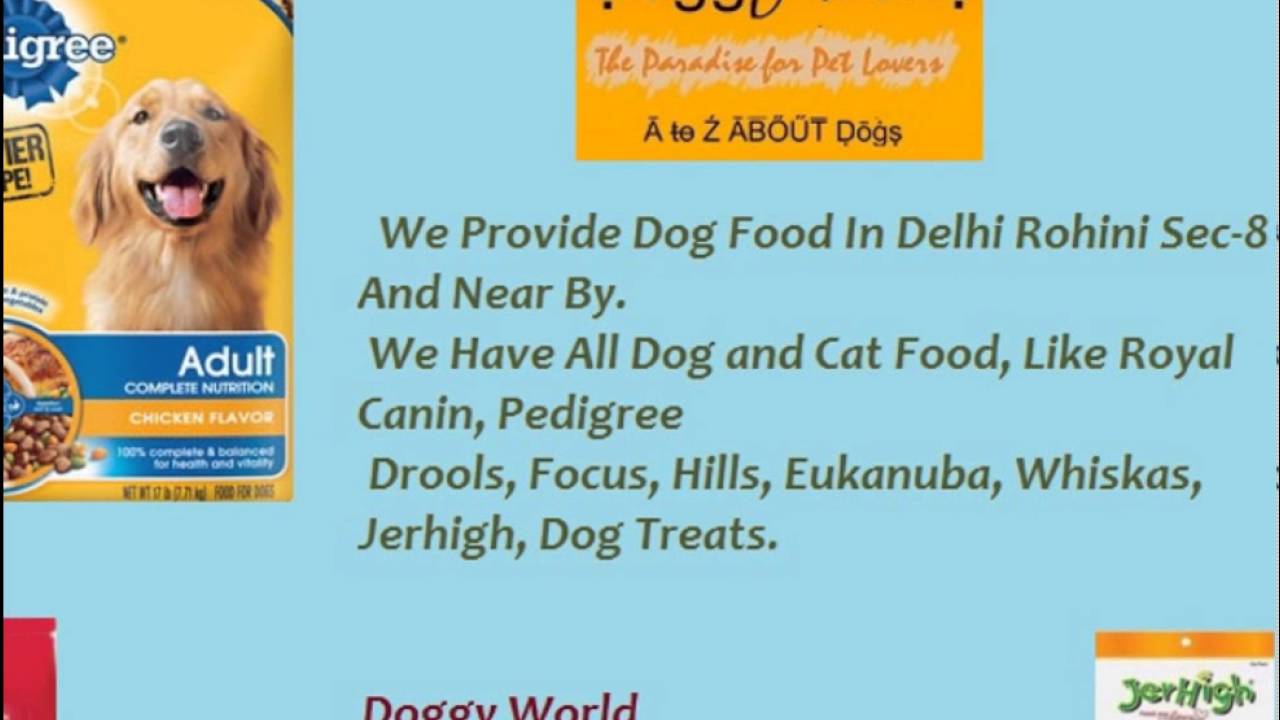 Dog Food Shop in Rithala
