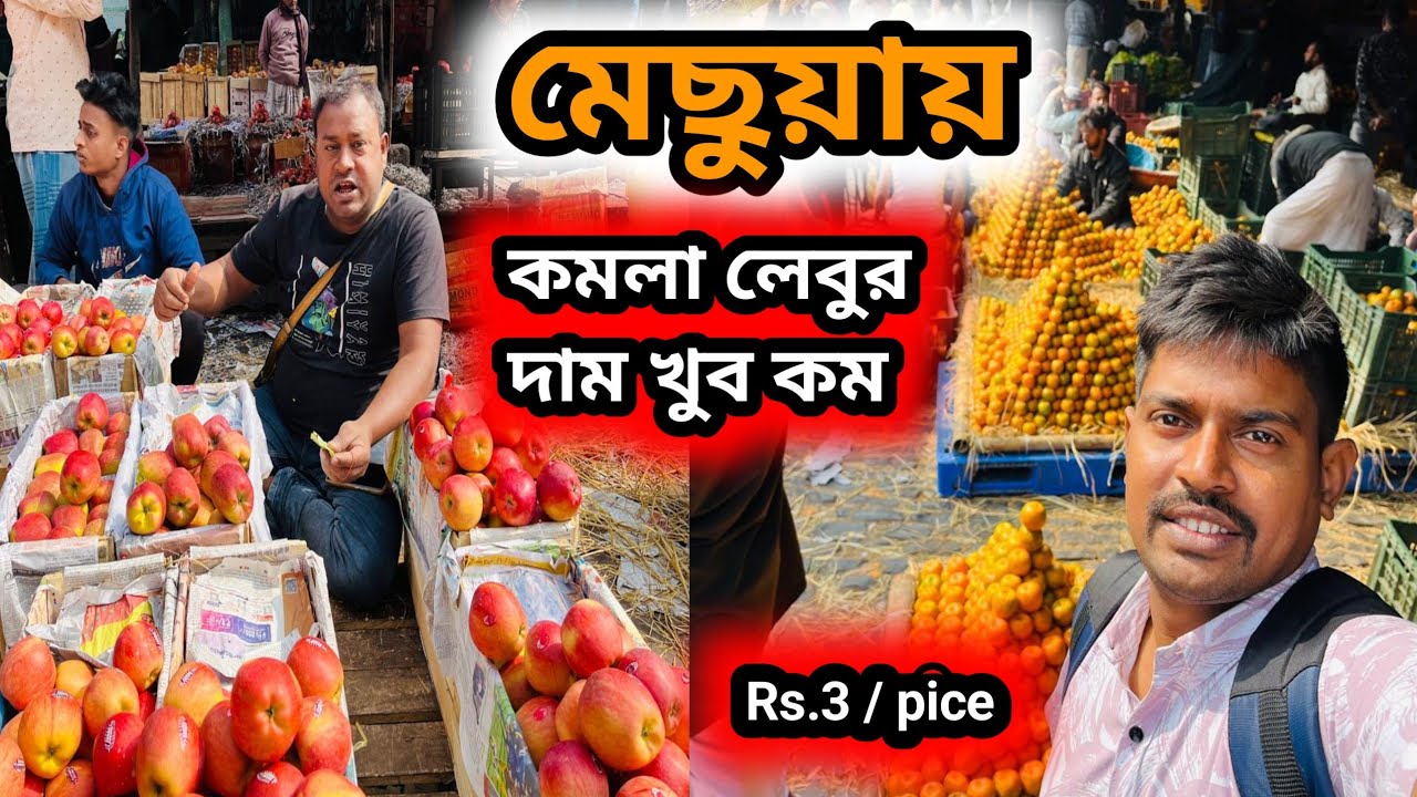 মেছুয়া পাইকারি বাজারে কমলা লেবু সস্তা হয়ে গেল || mechua wholesale fruit market #fruitmarket 