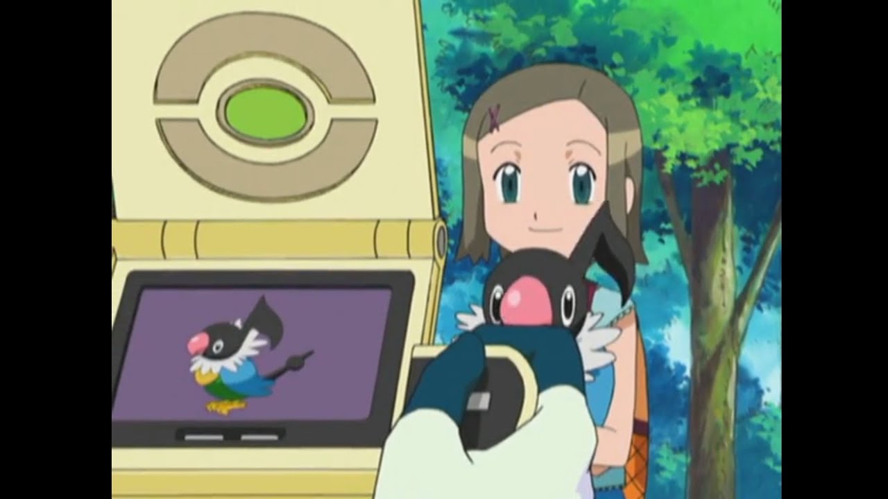 Chatot Pok&eacute;dex Entries..wmv