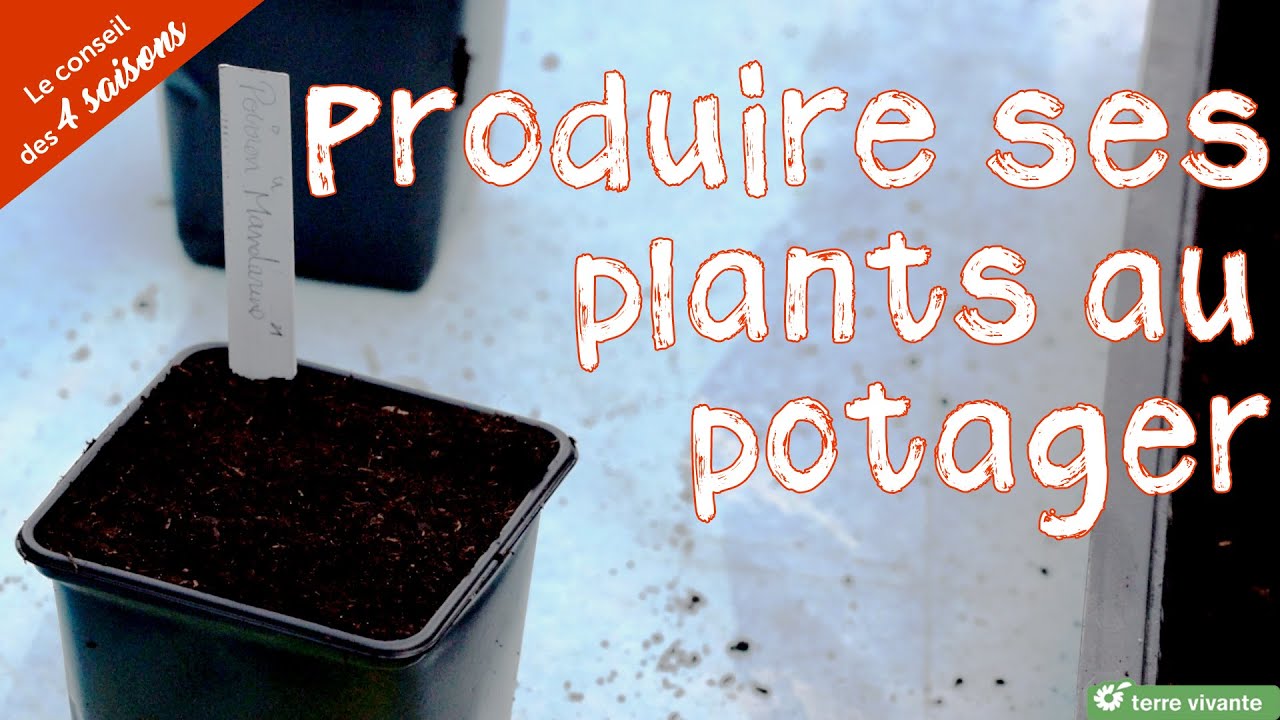 Produire ses plants au potager - Le conseil des 4 saisons
