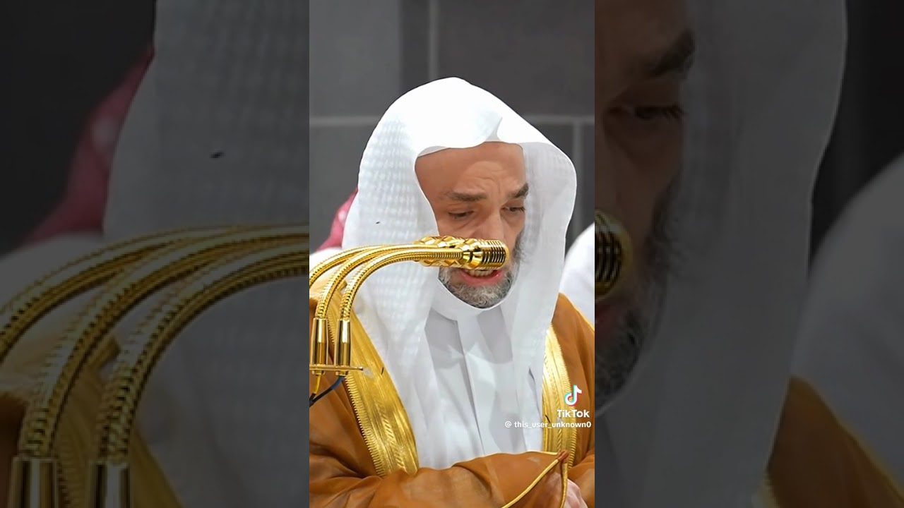 19 ديسمبر، 2025