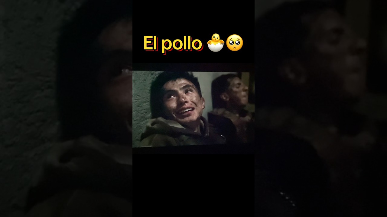Contraataque pel&iacute;cula #netflix #contraataque #pollo #murcielago #accion