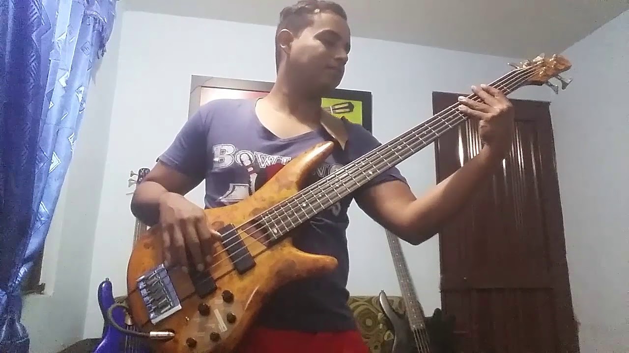Como llora mi alma cover  bass