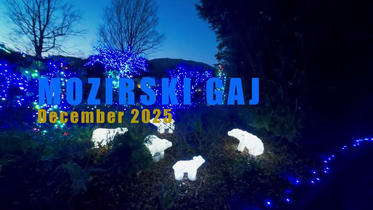 Mozirski gaj