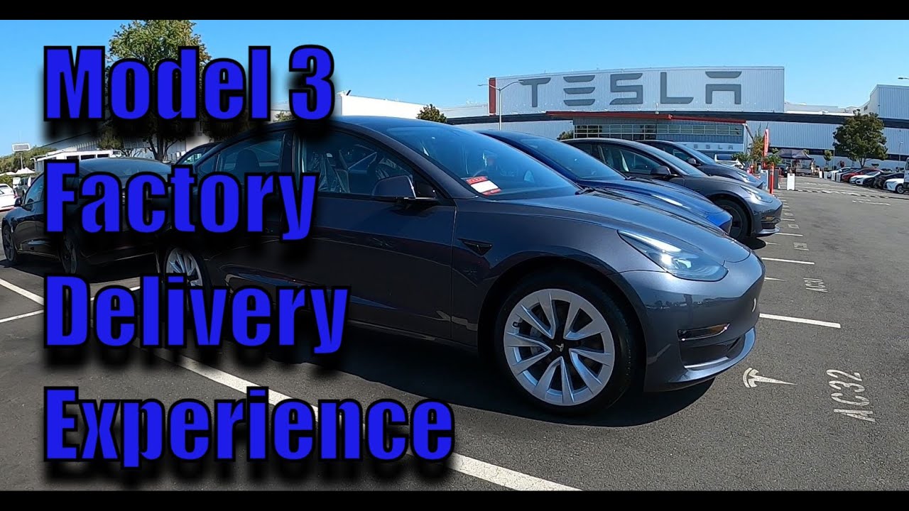 My New 2023 Tesla Model 3 ** Direct Tesla Factory Pickup Delivery Day Experience **