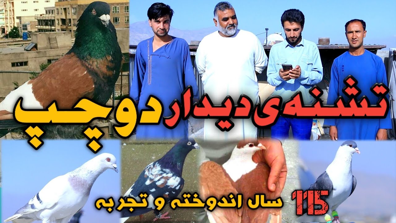 دوچپ/ تشنه‌ی دیدار دوچپ/ نا گفته های جالب و دیدنی از شوق/ دیره شوقی های چهاردهی زمین