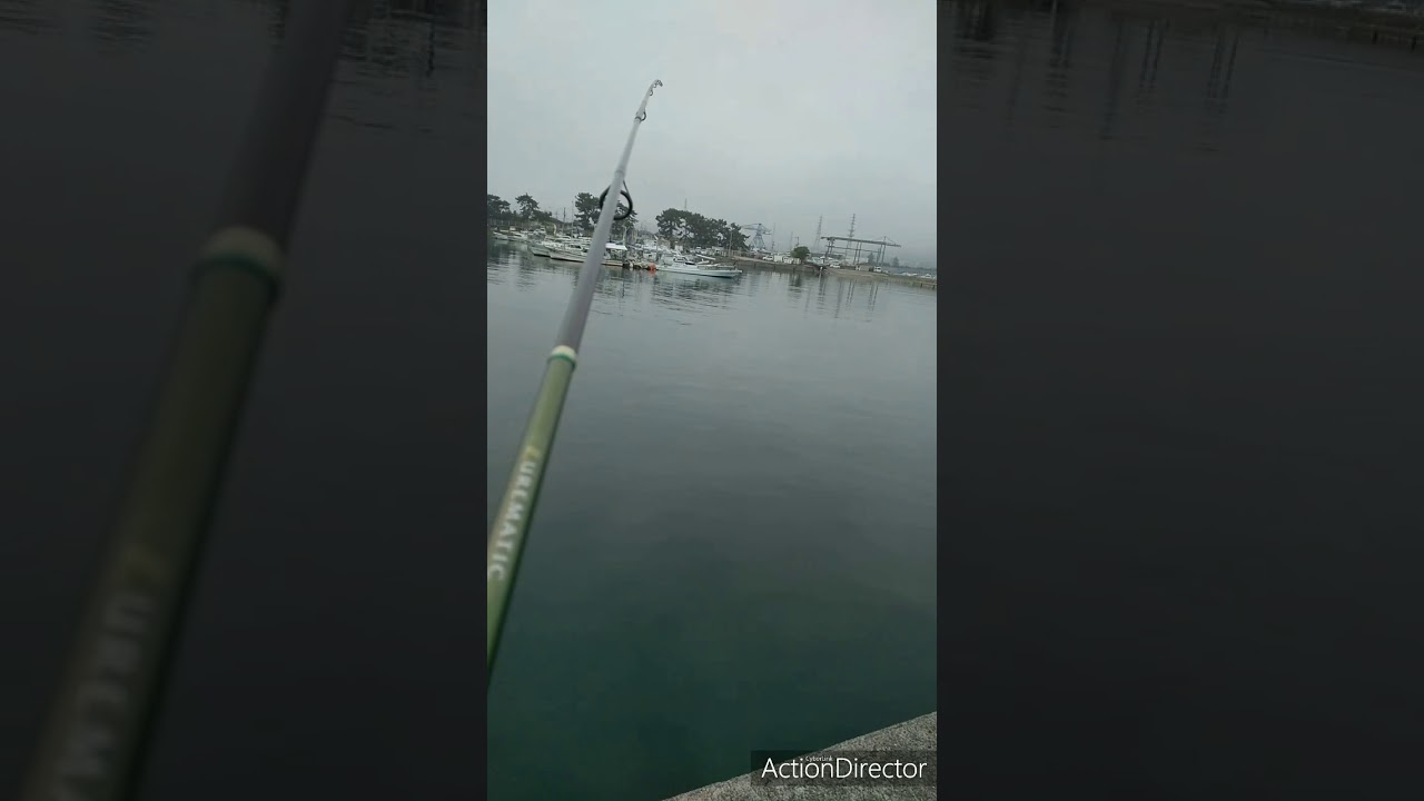 【キス釣り🎣尺キスか！？大物の引き！！と思ったら‥外道🐡】大本命キス！🎣と思ったらまさかのフグ🐡😭からの〜本命キスもGET!!🐟