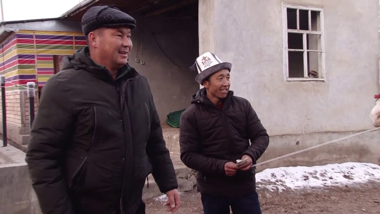 Папан айылы чон улак