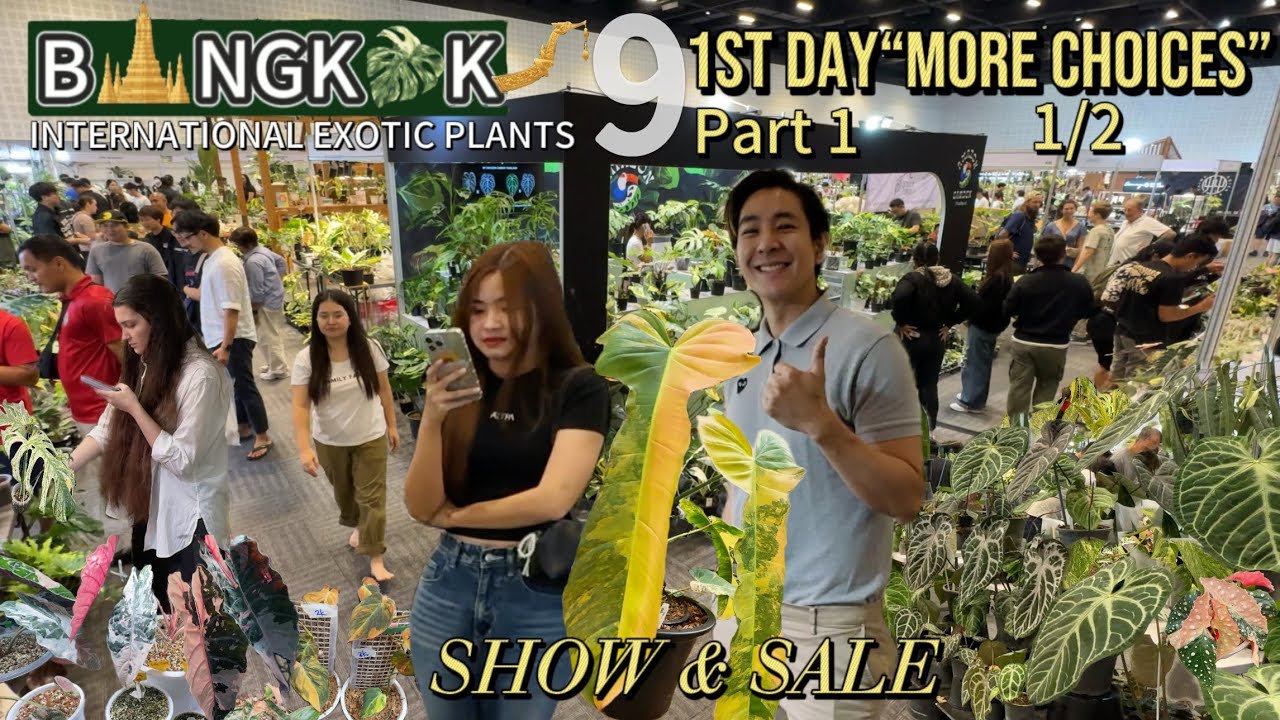 International Rare Exotic Plants 9th | First day! more selections | Bangkok, Thailand | Part 1 | 1/2