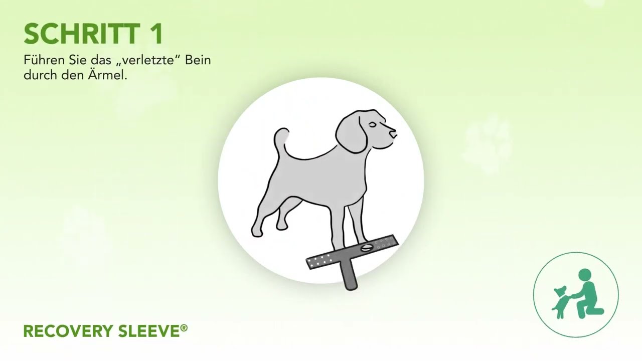 Suitical | Recovery Sleeve | Wie ziehen sie ihrem Hund das an?