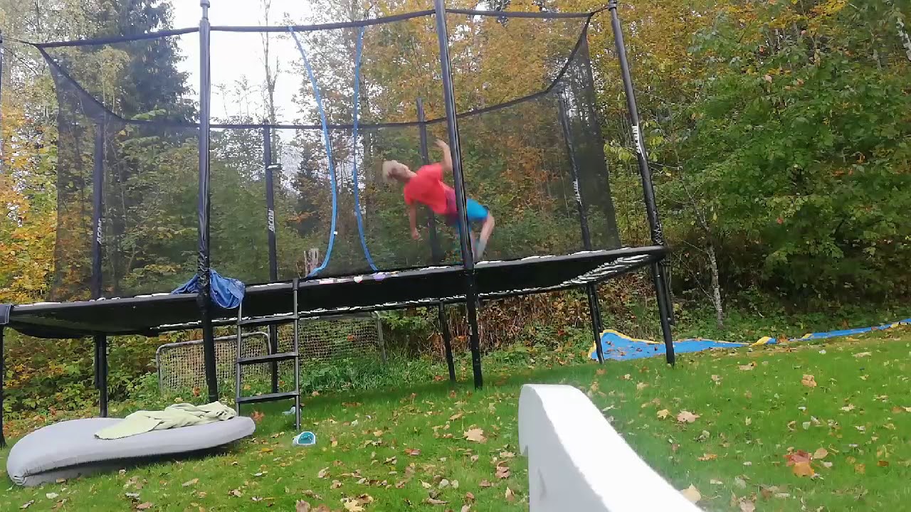 Full half x 12 in codies🦋