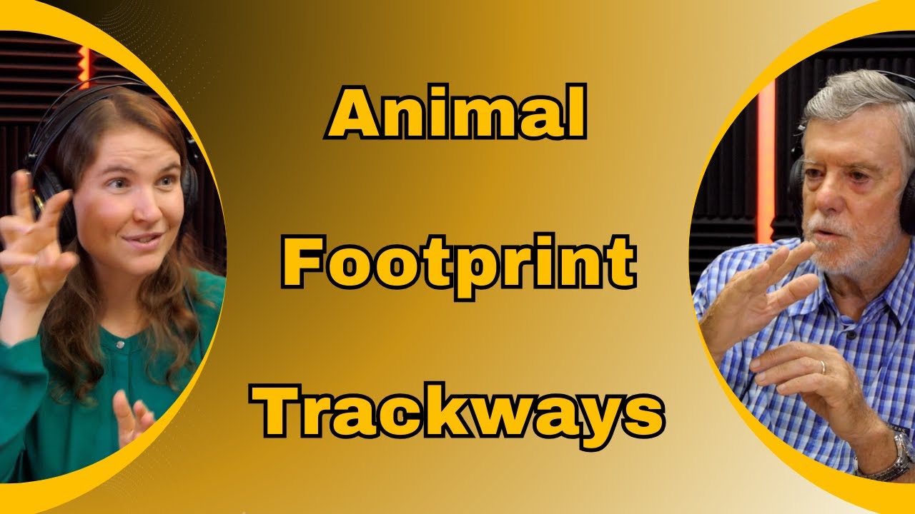 Uncovering Rapid Geological Evidence at the Grand Canyon