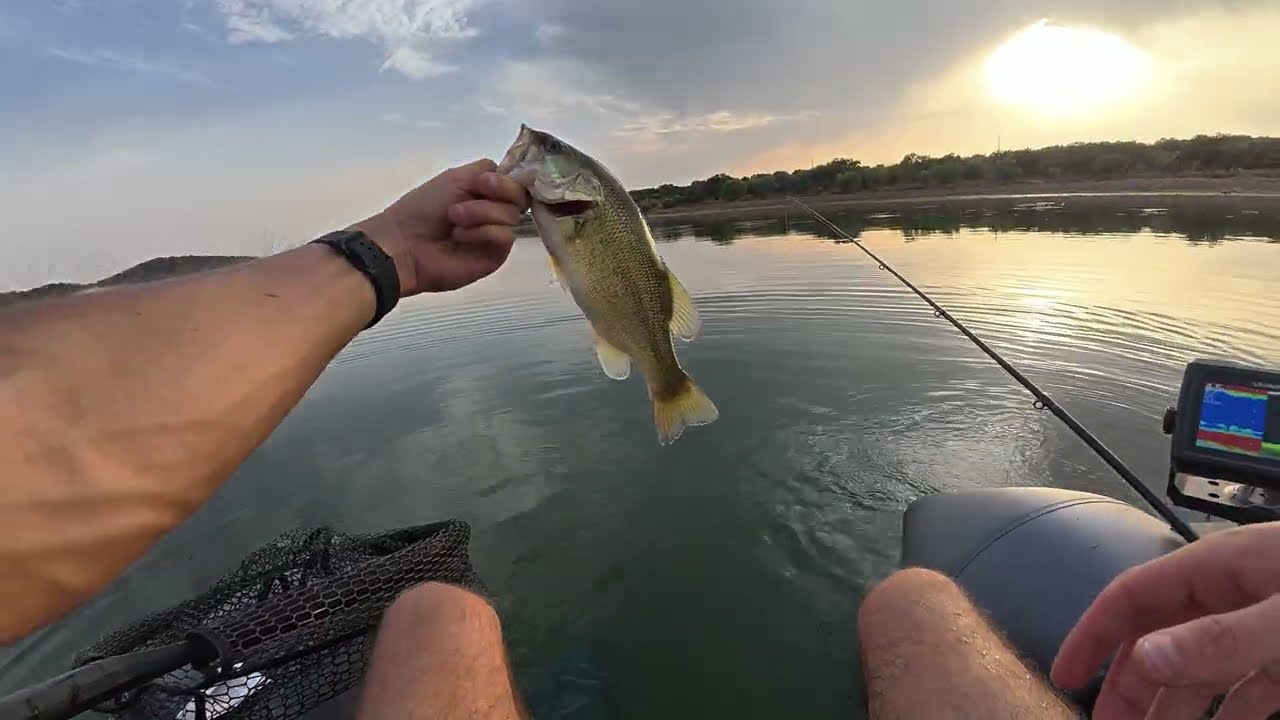 Pesca ao achigã de pato no Alqueva - Teste FLTB9