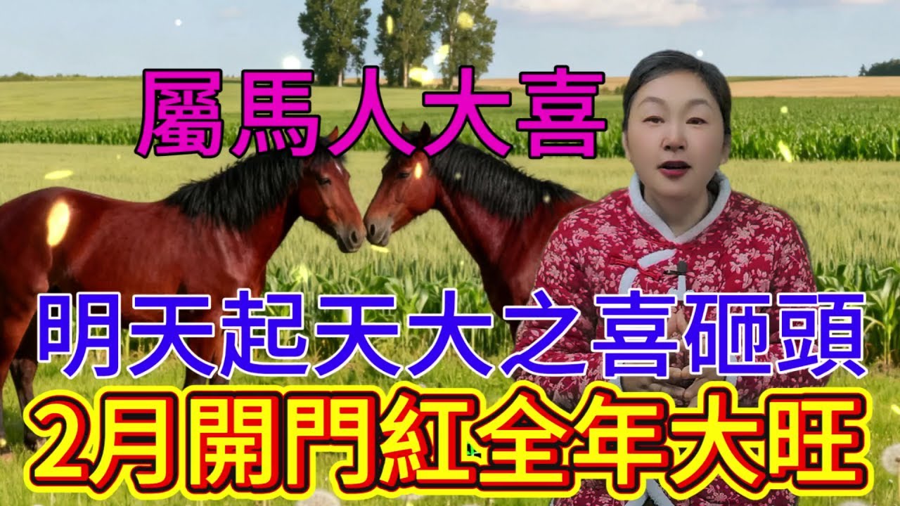 屬馬人大喜！明天起天大之喜砸頭頂，2月開門紅，全年運勢開掛！#運勢 #補財庫旺財氣 #財富 #風水