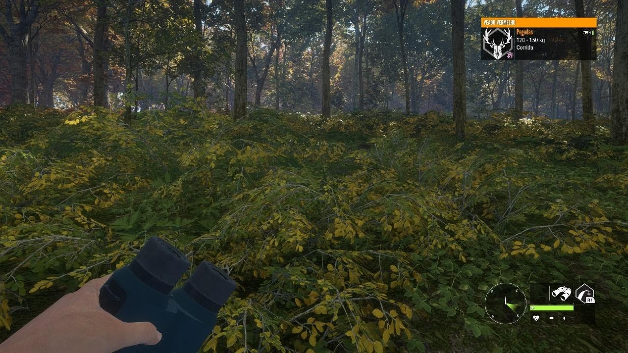 theHunter: Call of the Wild PS5 4K 60FPS