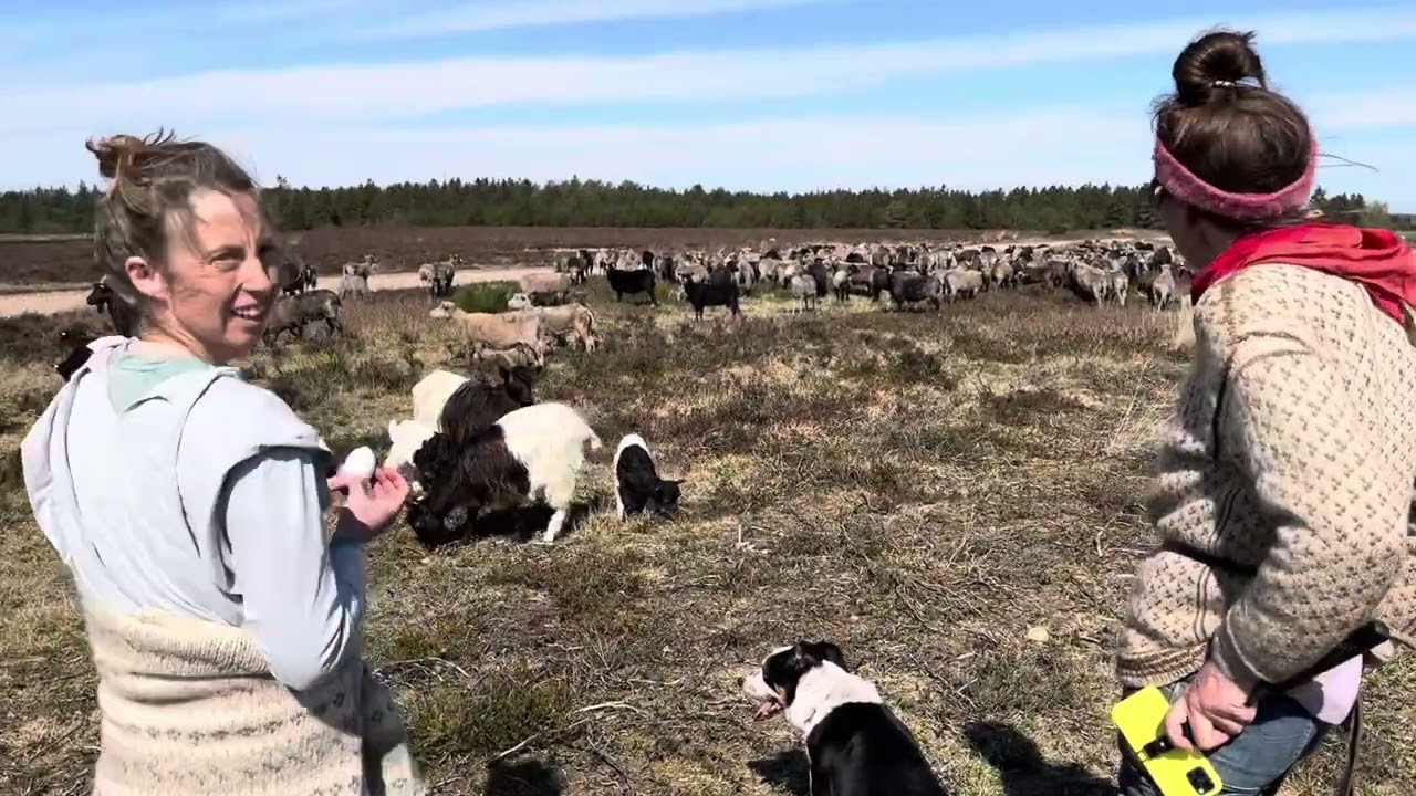 Interview med Berit fra Lystbækgård. Del 1.