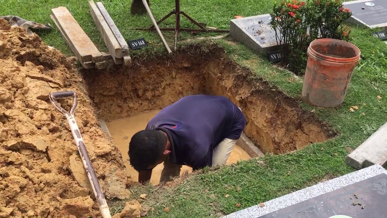 Pet Funeral Services #Nirvana