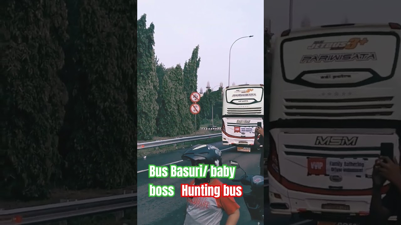 BUS BASURI/BABY BOSS //HUNTING BUS