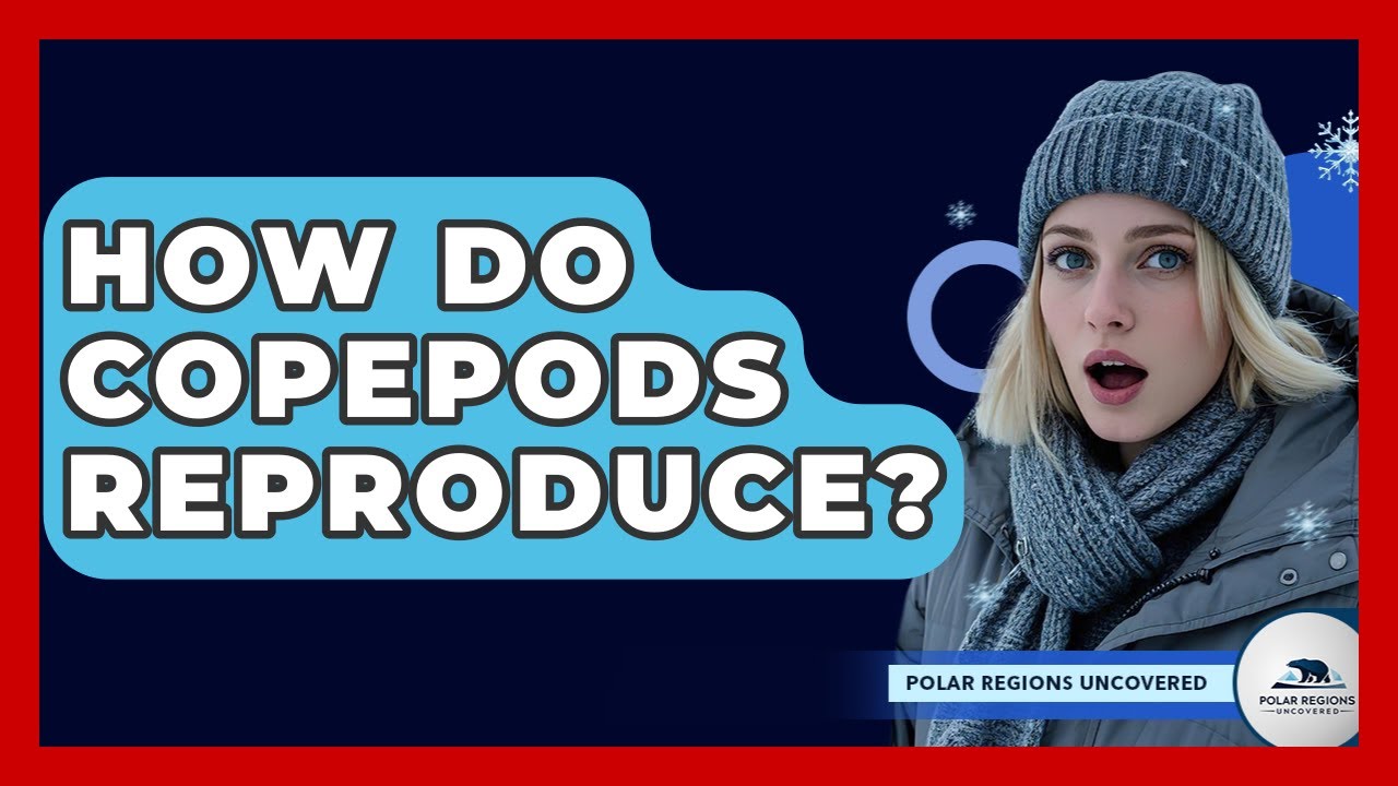How Do Copepods Reproduce? - Polar Regions Uncovered