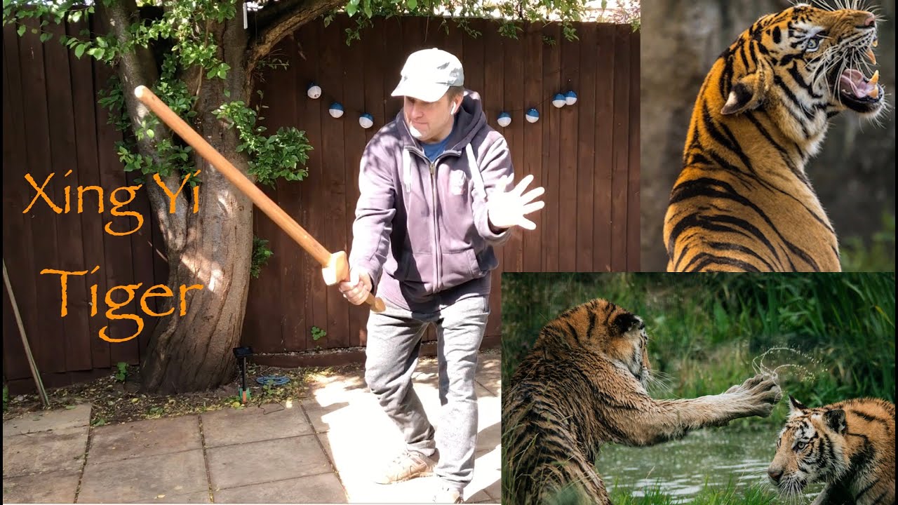 Tiger (Hu) Xing: Xing Yi Lockdown Special #4