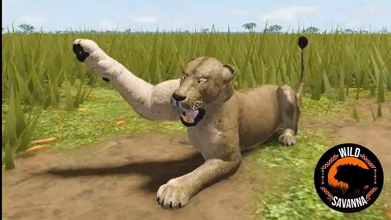 New Recode Lion Animations #3 | ROBLOX Wild Savannah