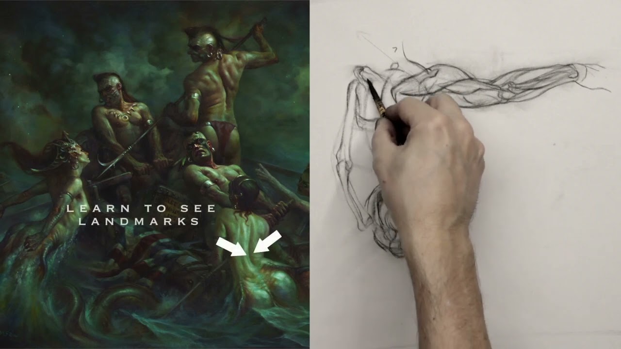 HOW TO DRAW: The Scapula Machine!