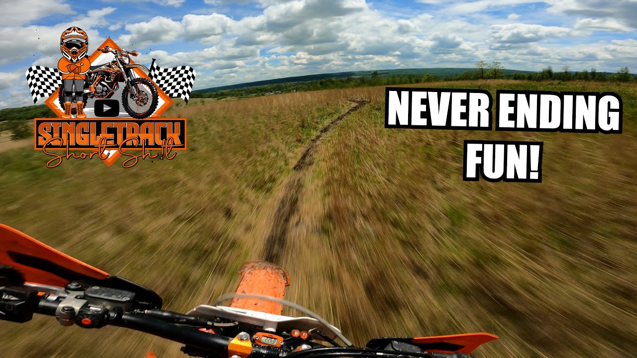The New and NEWEST Grass Tracks @ Burma || Famous Reading Outdoors
