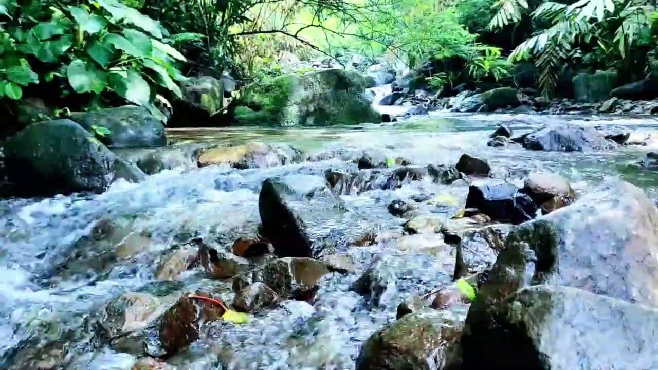Calming Mountain Forest Ambiance. Waterfall Sounds & Bird Calls. Sleep Better Tonight.
