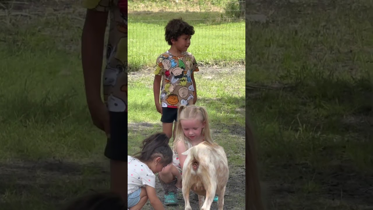 Come with us to the TikTok viral Goat Farm Coffee Shop!