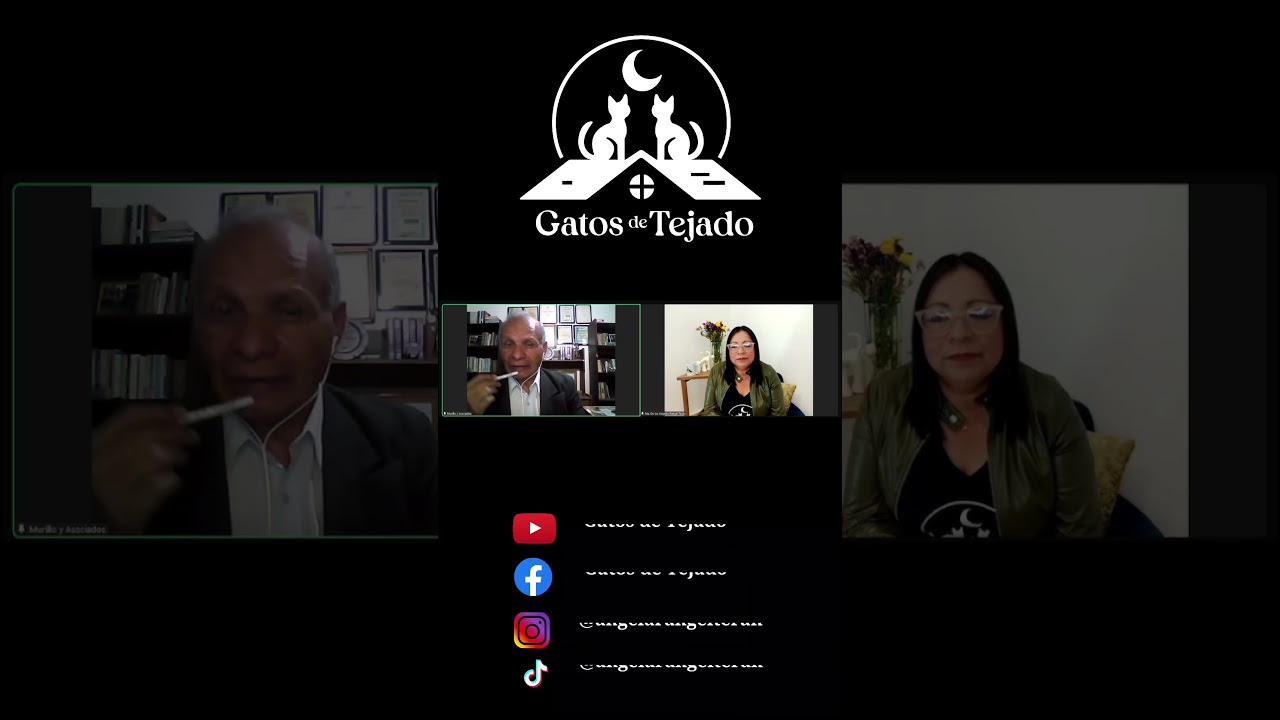 &iquest;Qu&eacute; es la recreaci&oacute;n? - Gatos de Tejado - Ep 4 - Psicoeducaci&oacute;n