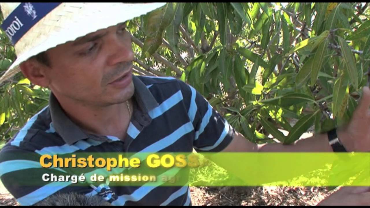 Terre d'Ici - Agroecologie