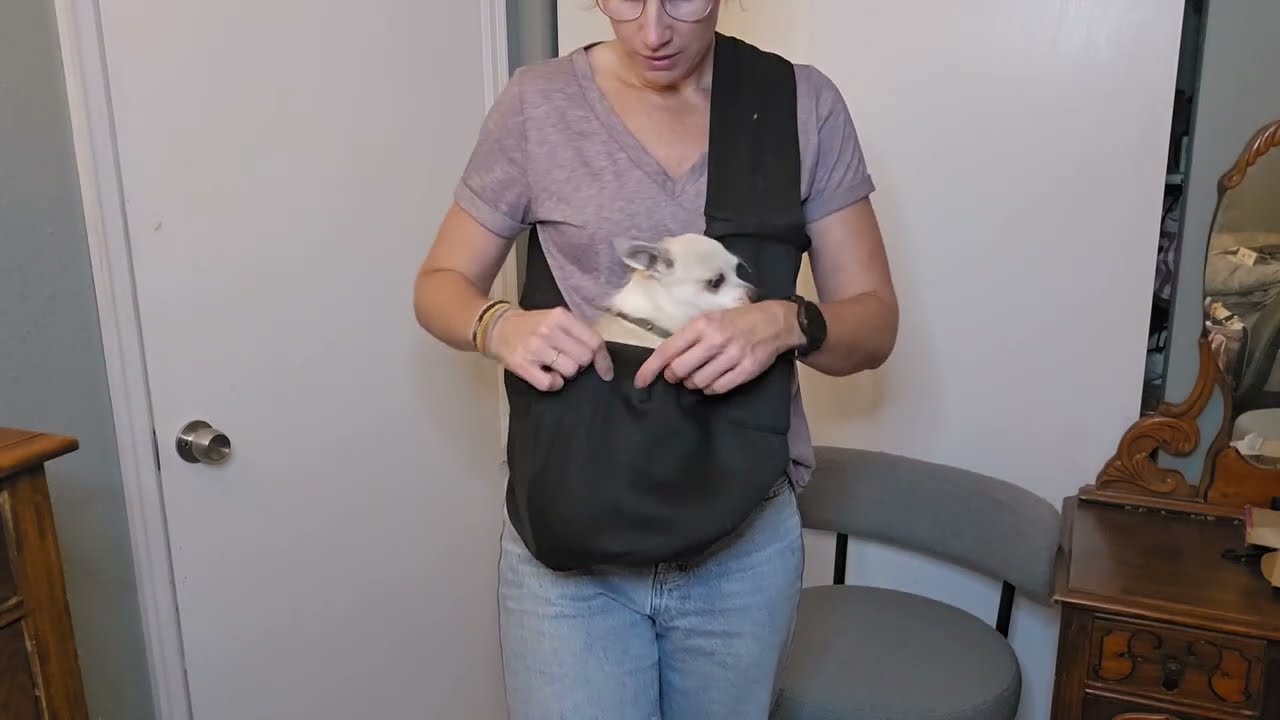 Reversible Dog Carrier Sling Purse Review &ndash; Hands-Free Pet Travel Bag for Small Dogs & Cats