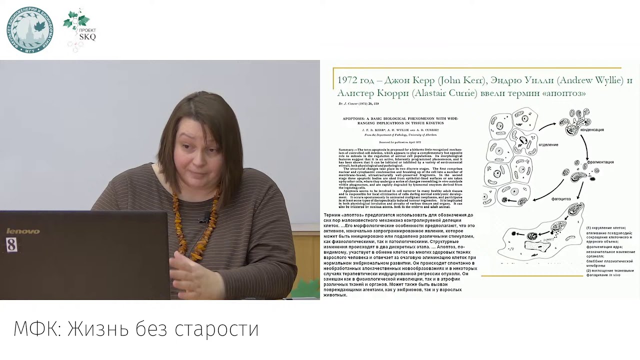 МФК: Жизнь без старости. Лекция 12