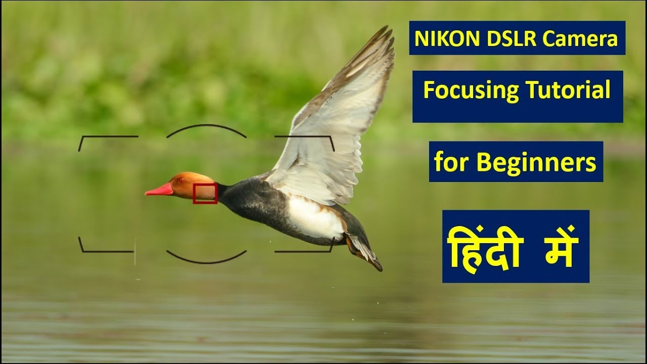 Auto Focus and Manual Focus Tutorial in Hindi. | AF Modes | AF Area Modes | Manual Focus |