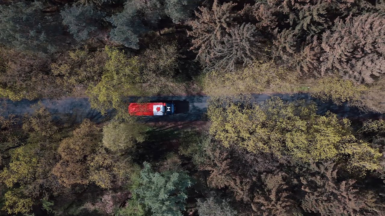 Steig ein und werde Teil der Hoyer Familie!