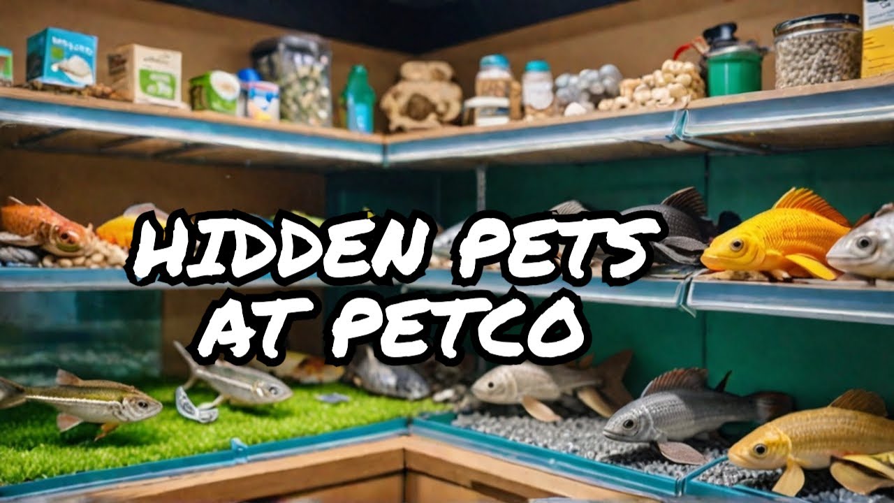 Hidden Creatures at Petco