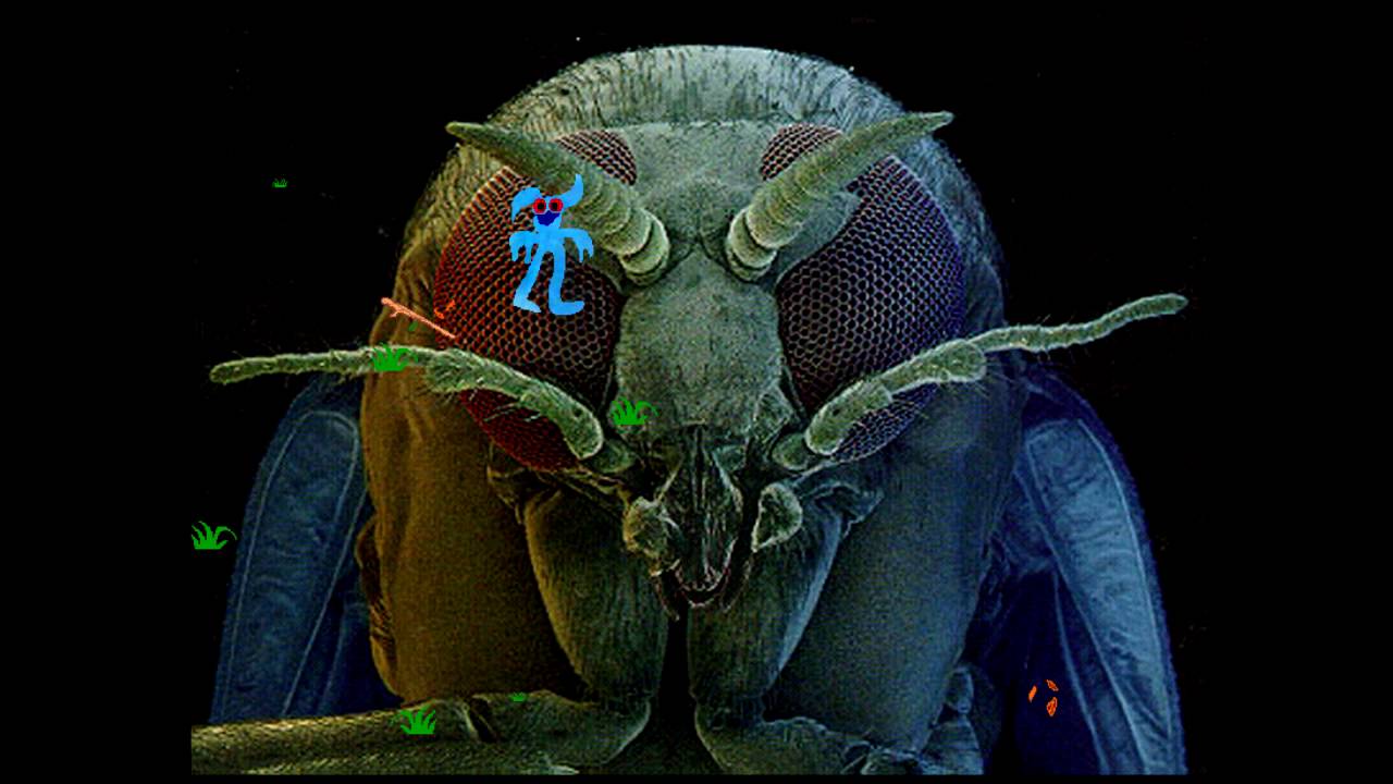 Revenge of the Sunfish (PC) Playthrough (With Extras)