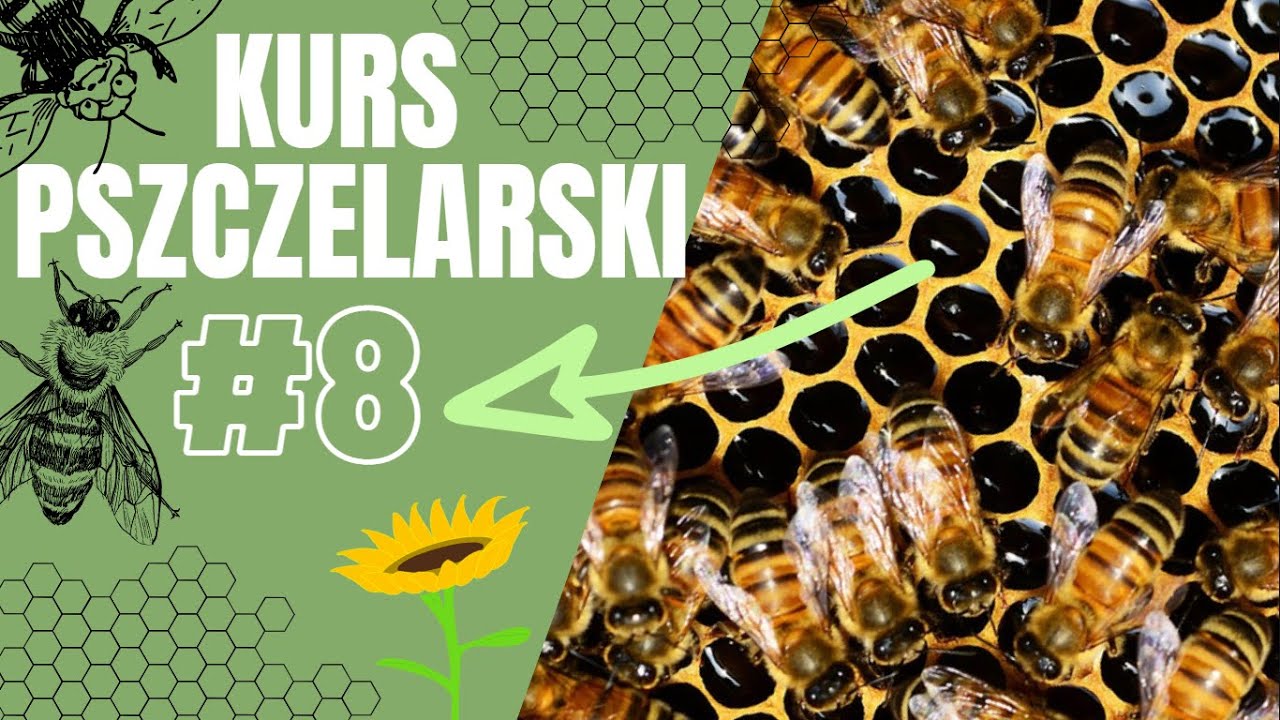 Zasiedlanie oraz praca z ulikami weselnymi - Wykład #8