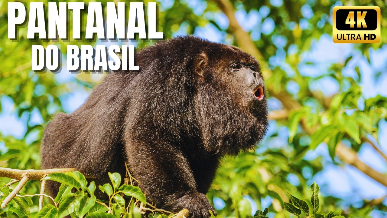 🌾Pantanal Selvagem | Onde a Água Tece a Vida | Fauna, Flora e Mistérios Naturais da Vida Pantaneira
