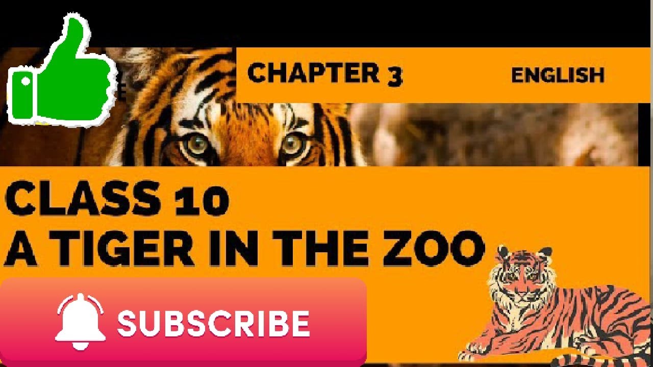 A Tiger in Zoo Class 10 | class 10 English poem a tiger in the Zoo explain in Hindi & English