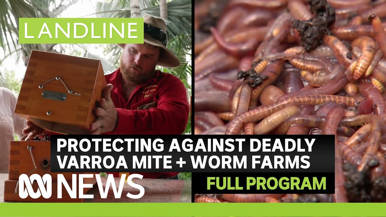 Nature's insurance policy against deadly varroa mite + soil's saviours - worms | Landline