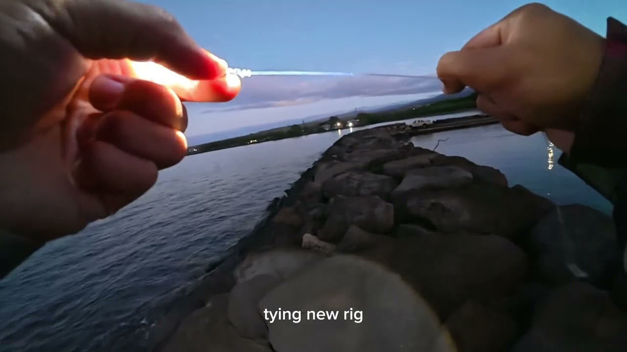Hawaii fishing - harbor monsters - on da rock shenanigans 
