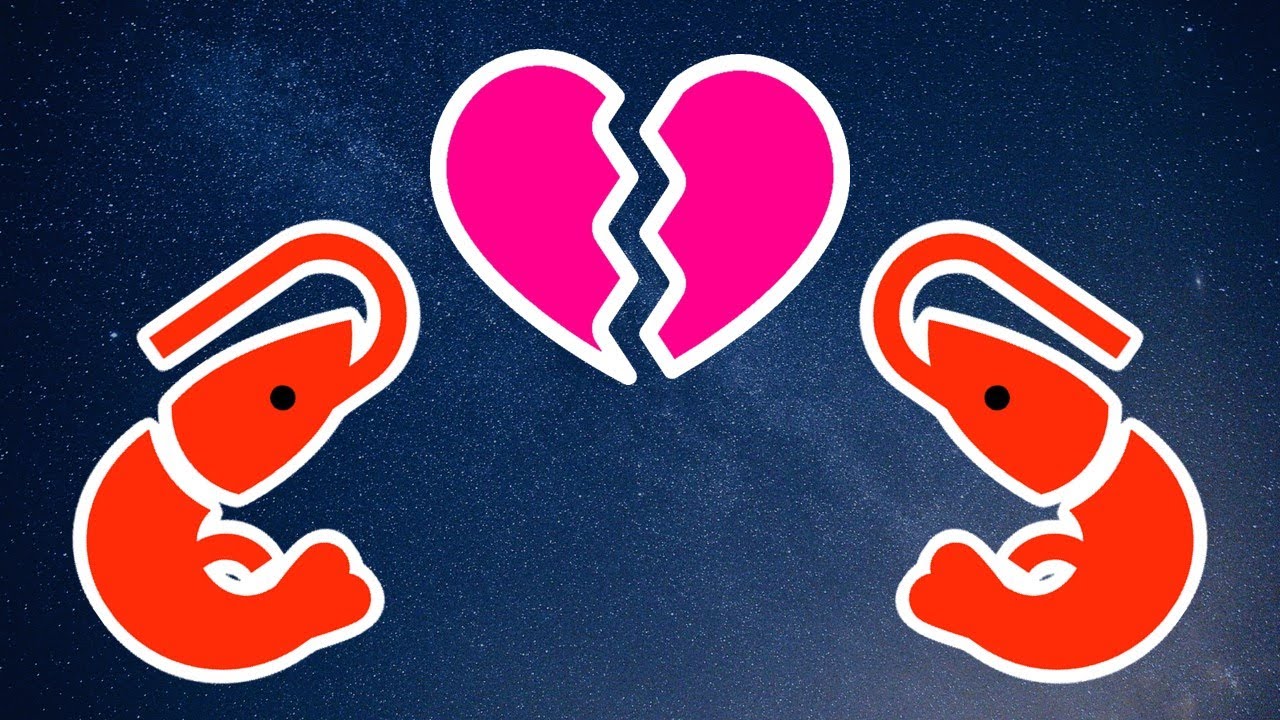 8 Reasons Why Your Cherry Shrimp Aren’t Breeding