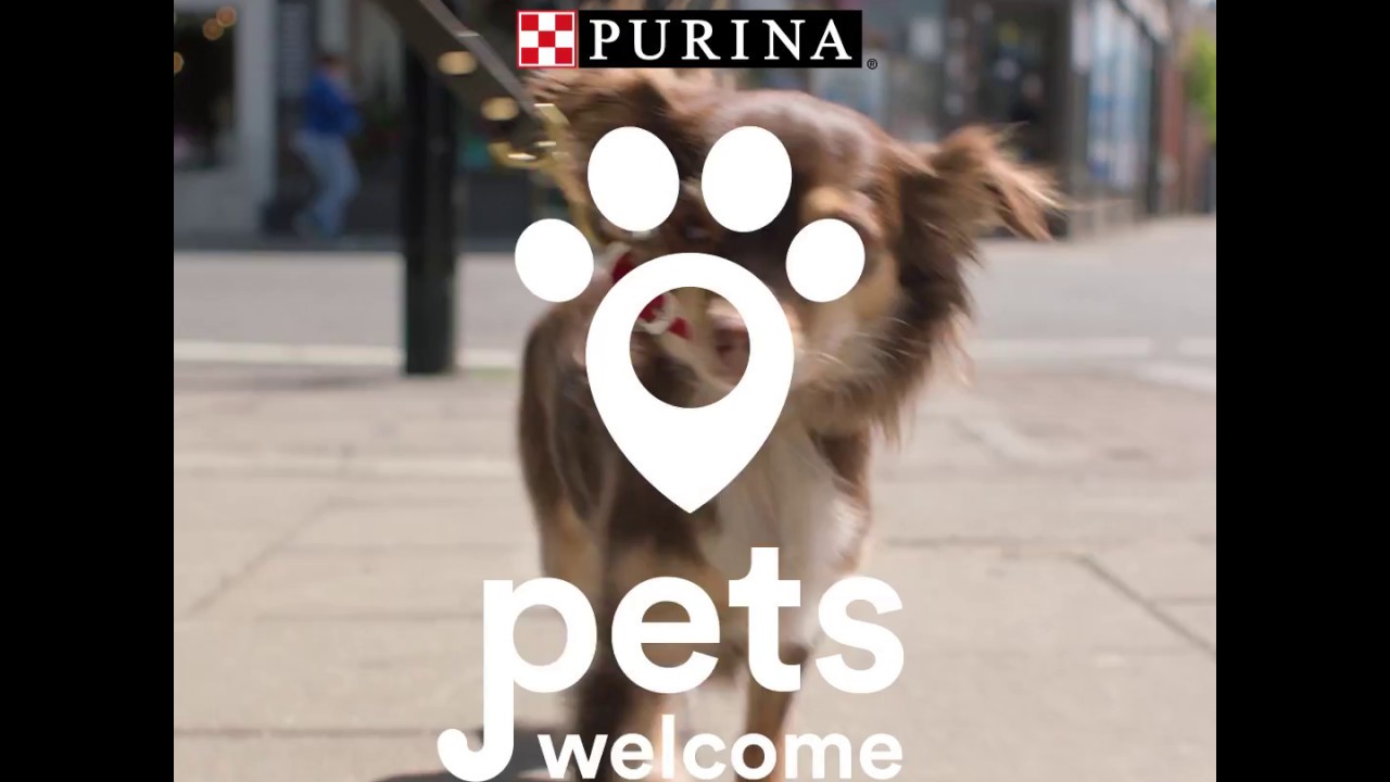 Purina Pets Welcome...Discover some pet-friendly cafes